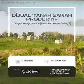DİJUAL TANAH SAWAH LUAS DEKAT RAYA DUNGUS