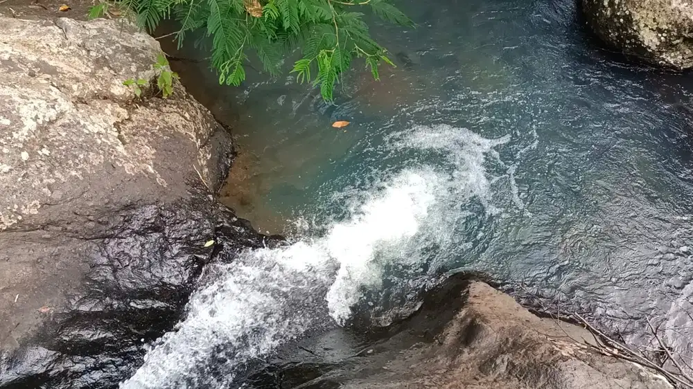 Tanah murah los sungai view laut kebun manggis dan durian