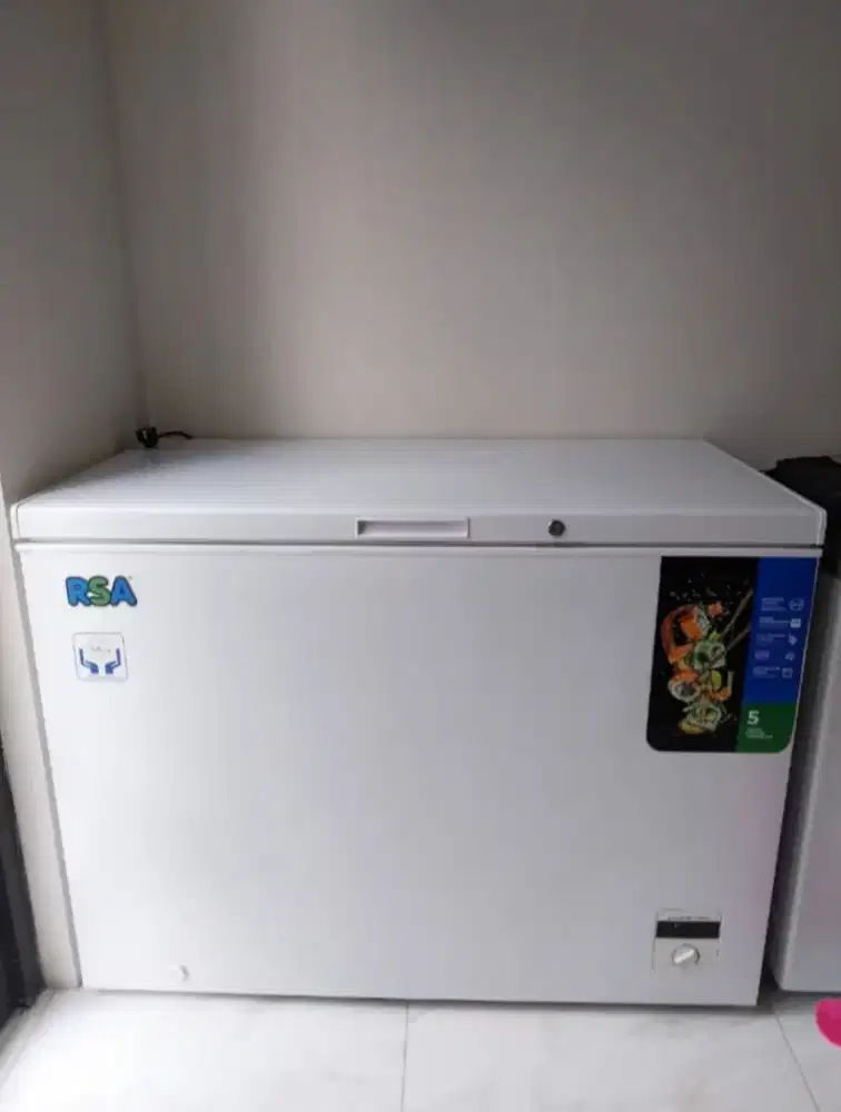 frezer RSA 300 Lt
