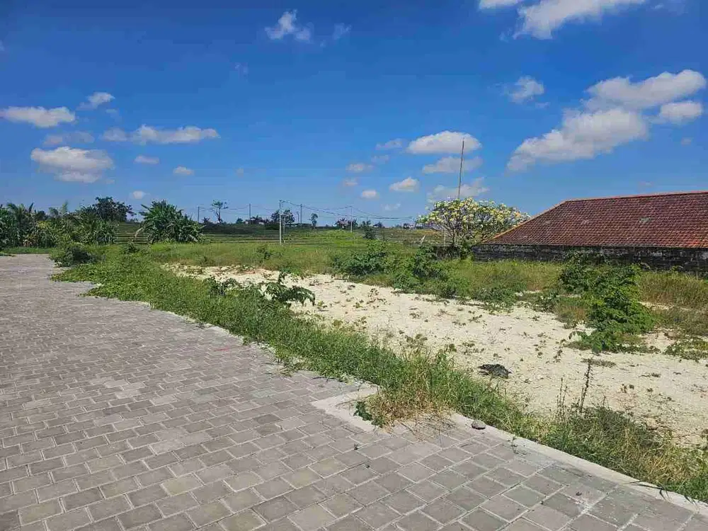 Jual Tanah Luas 3.53Ara & 3.54Ara Lokasi Padonan Zona Kuning Dekat Canggu