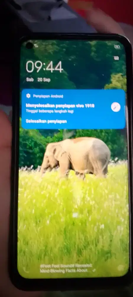 Vivo z1pro ram 4/64