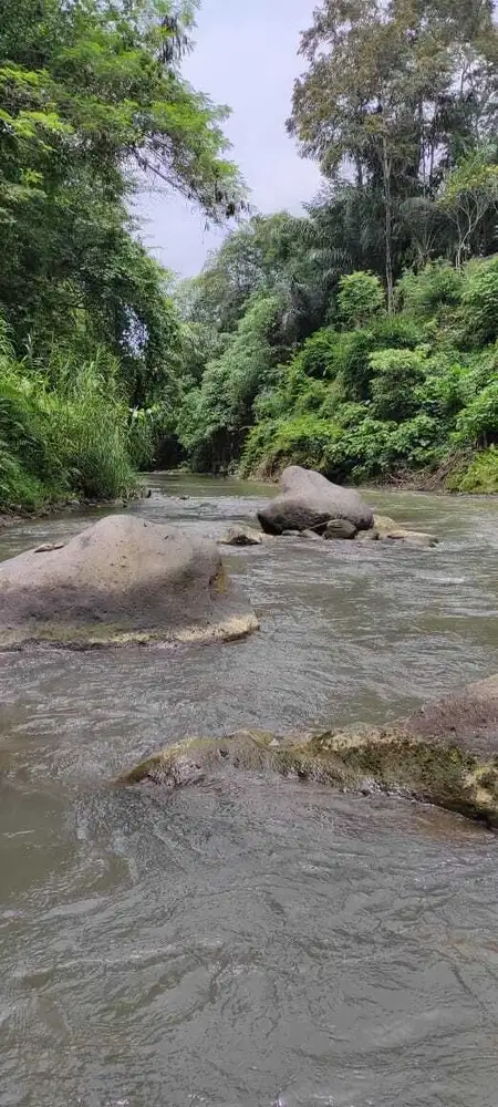 Dijual tanah view sungai di ubud