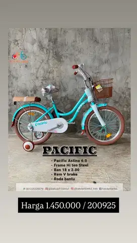 Sepeda Anak Cewek ring 18 (part 1)