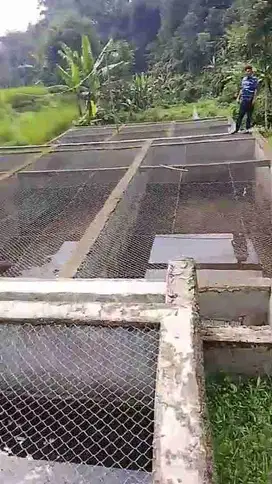 jual tanah murah LT 3000m,  ajb,  akses masuk mbl