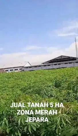 TANAH ZONA MERAH BATEALIT JEPARA, 5 HA BISA.PERLUASAN