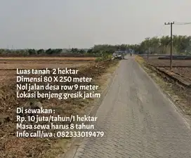 Di sewakan tanah luas 2 ha nol jalan jalur kab