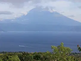 OCEAN-VIEW FREEHOLD LAND IN NUSA PENIDA