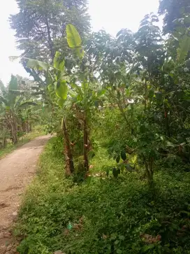Dijual Tanah 92 Tumbak – Siap Bangun Rumah/Investasi