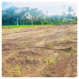 Selatan Dekat Kampus UII di PPandaran Jalan Kaliurang