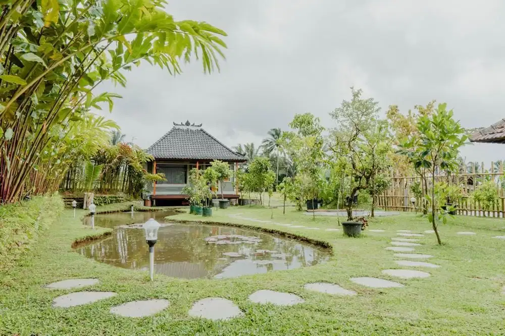 Dijual villa lokasi tabanan bali Luas tanah 25 are