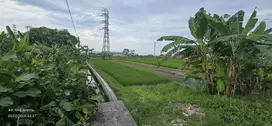 Pasuruan. Beji. Cangkringmalang. Lahan industri