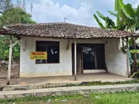 DIJUAL CEPAT RUMAH DAN TANAH MANGUNSARI SALATIGA