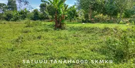 Dijual tanah luas kebun subur luas pinggir jalan dekat kota