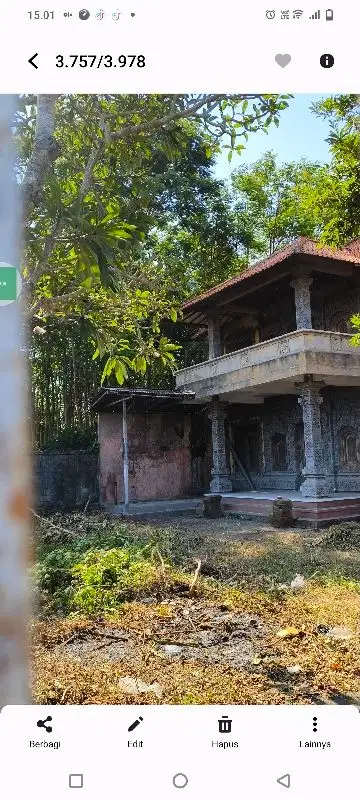 di Jual rumah ex galery dekat bali Zoo