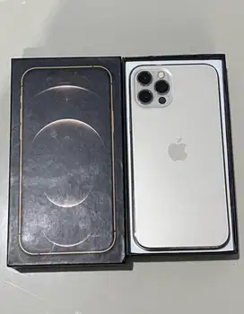 Iphone 12 pro 128gb gold alloperator ( Inter )