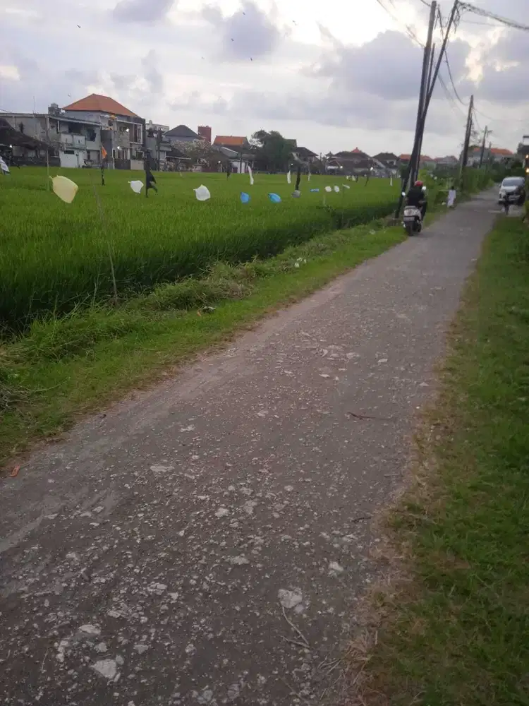 Jual tanah global area pure demak