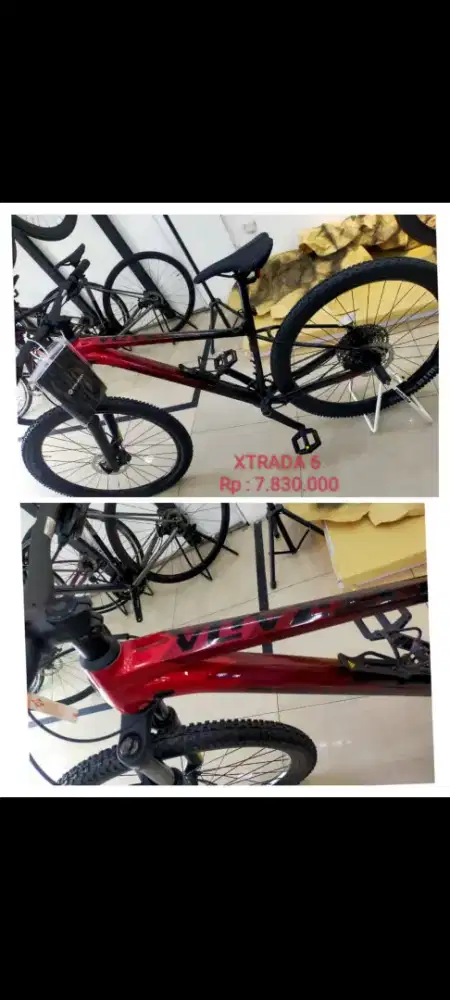 POLYGON XTRADA 6