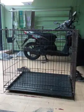 Dijual kandang kucing