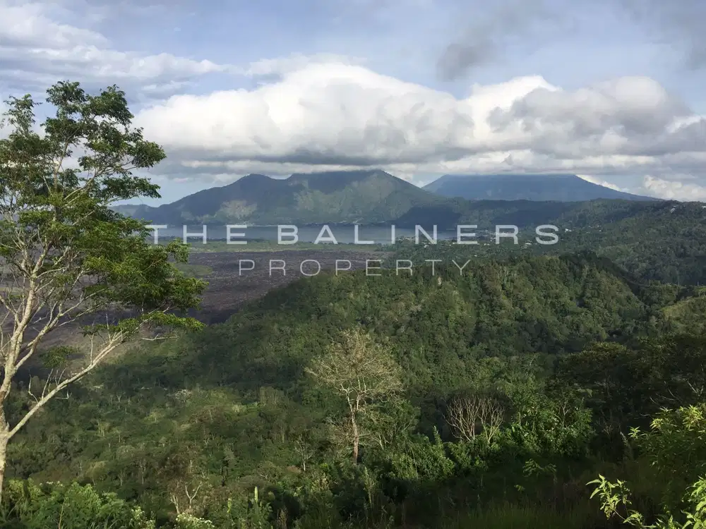 ELEVATED LAND WITH SPECTACULAR VOLCANO VIEW IN KINTAMANI