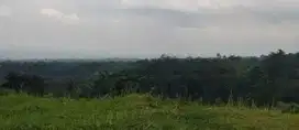 Dijual Kavlingan Cliff Taman Dayu Pandaan