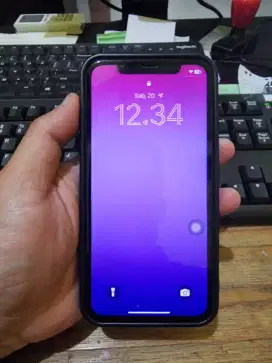 Iphone 11 ex ibox