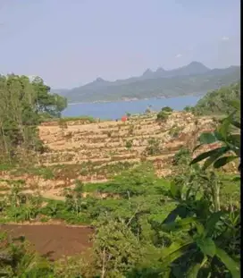 Di jual tanah tepi pantai siwil sidomulyo pacitan