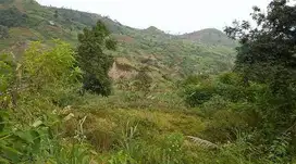 Dijual Tanah di Cikande Bandung Barat, Area Luas Nyaman Siap Bangun