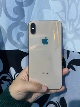 iPhone Xs Max 256gb beacukai