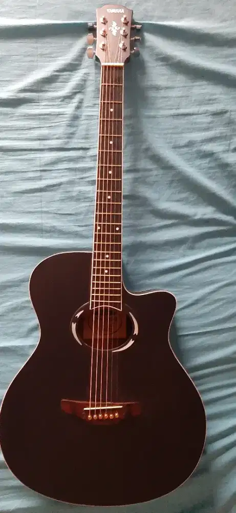 Gitar Akustik Elektrik Custom
