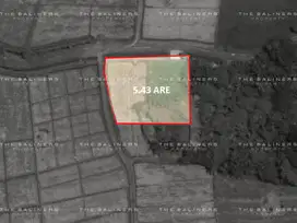 BUILD-READY LEASEHOLD LAND IN YEH GANGGA WITH RICE FIELD VIEWS