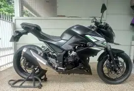 Kawasaki Z250 FI 2014