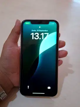 Ip 11 64 gb inter