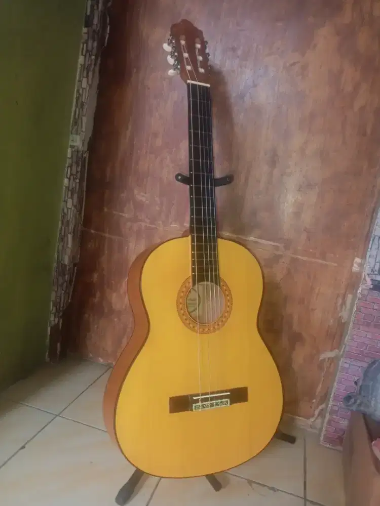Gitar Clasik senar nilon