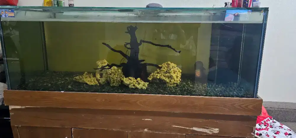Aquarium ukuran  jumbo