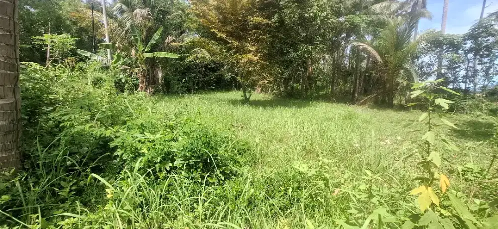 Dijual Tanah di Bambi