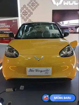 [Mobil Baru] NEW BINGUO LITE CCS2