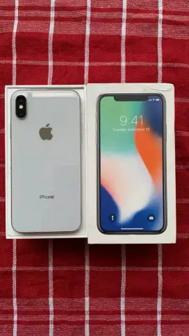 iPhone X 256Gb inter