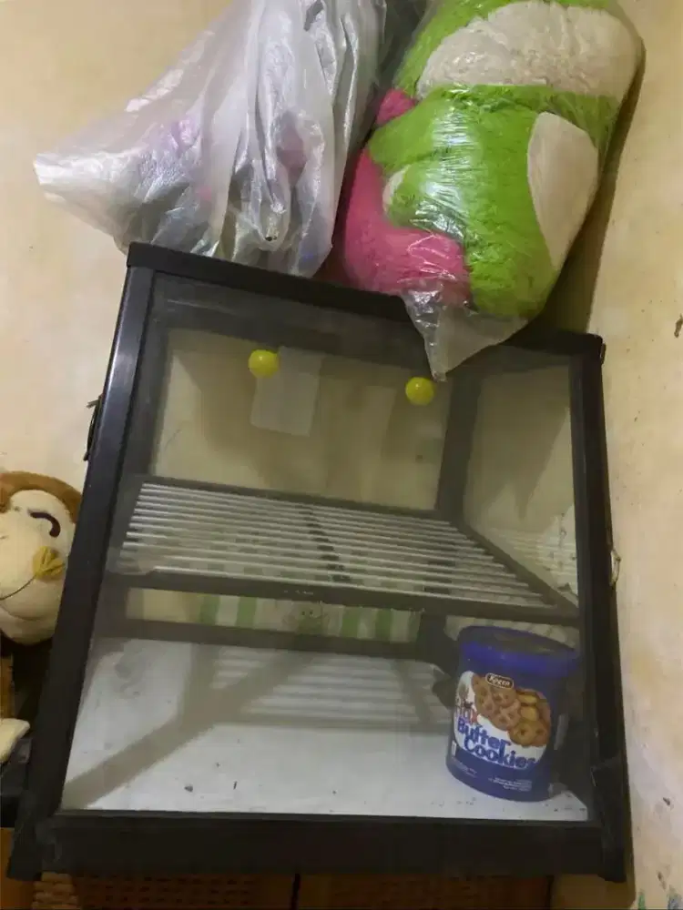 Etalase Chicken