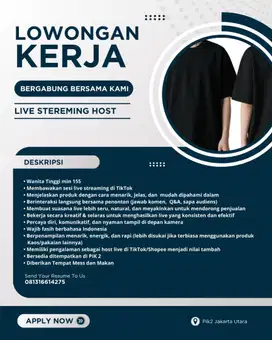 Lowongan live stream & model