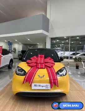 [Mobil Baru] PROMO WULING BINGUO EV DP 5JT