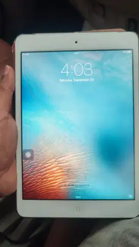 Ipad mini 1 cellular 64gb