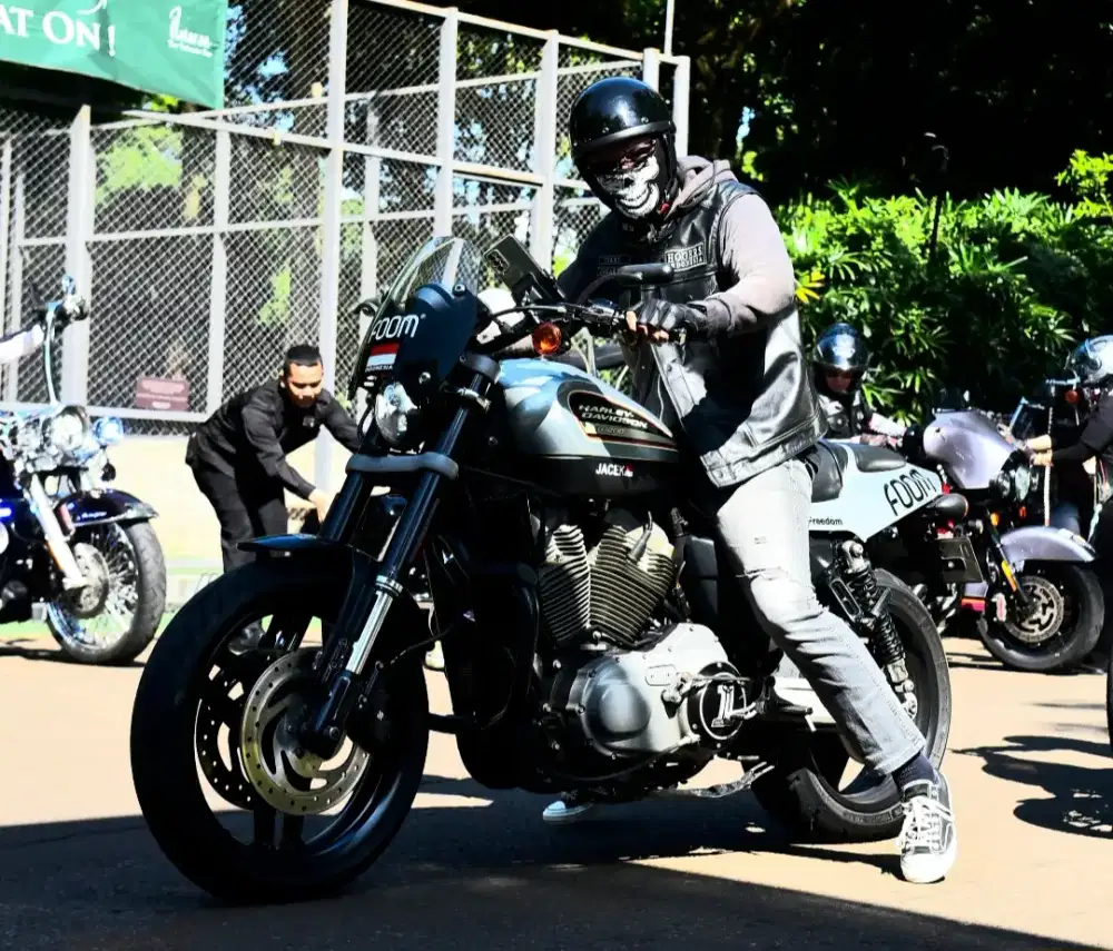 XR 1200 2010 silver