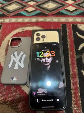 Iphone 13 pro max 128 ibox