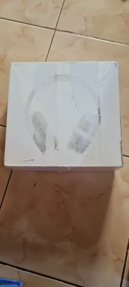 Apple air max headphone