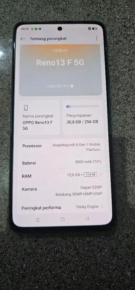 Oppo Reno 13f 5G