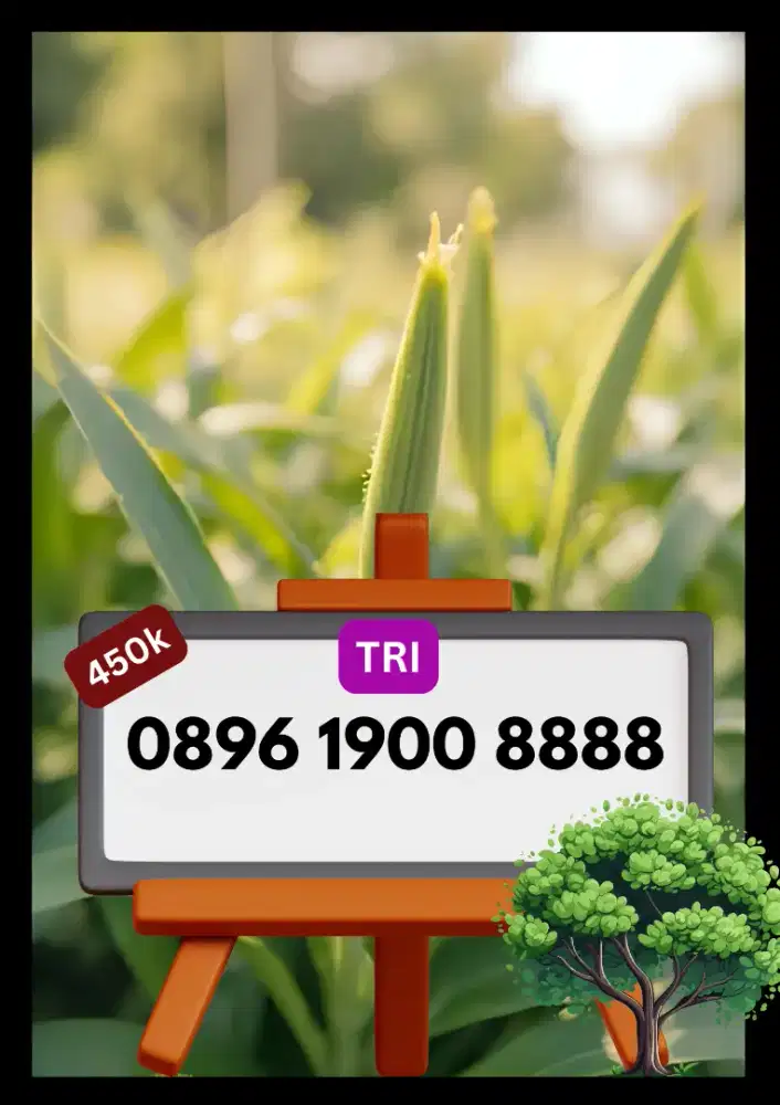 Nomor Cantik TRI