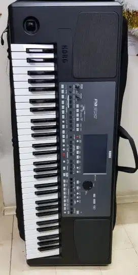 Korg Pa600 keadaan Matot