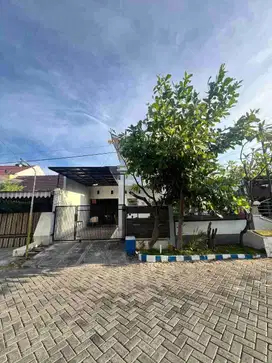 Rumah Hitung Tanah Cocok Untuk Kost an Surabaya dekat Ubaya