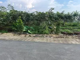 Tanah murah ngargoyoso