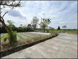 Jl. Kaliurang Km.12, Tanah Jogja Cocok Untuk Hunian Asri